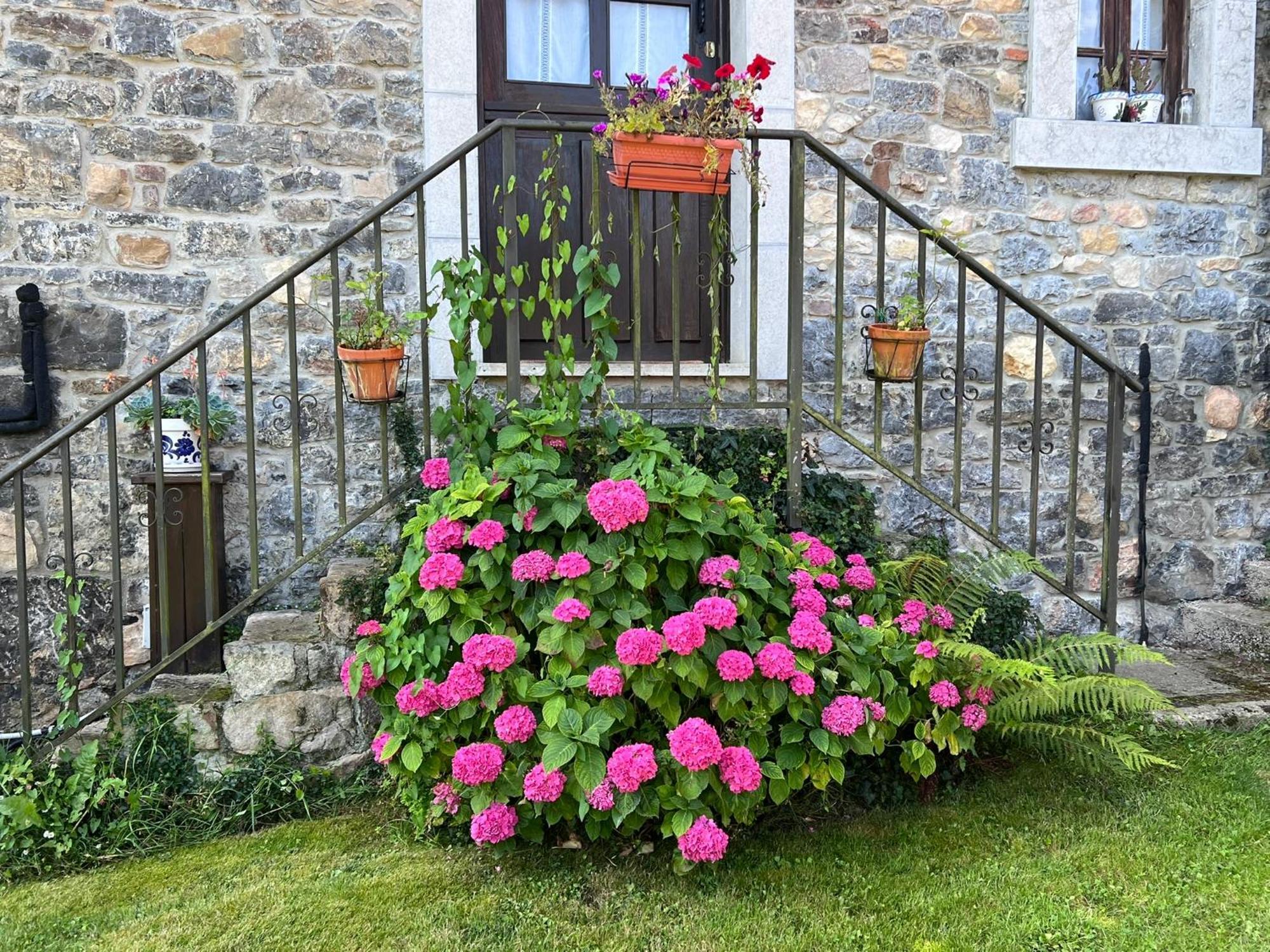 Casa Rural Casa Cerezal Onís Eksteriør bilde
